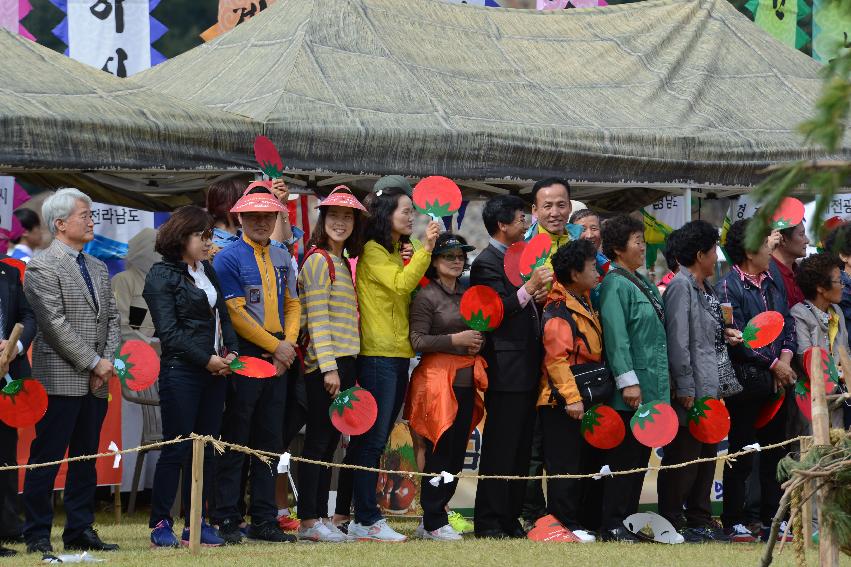 2013 한국민속에술축전 개회식 의 사진