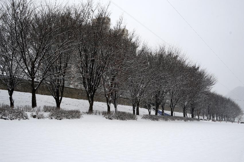 2013 화천읍 겨울 풍경 의 사진