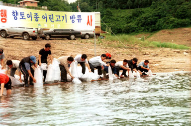 향토어종 사진