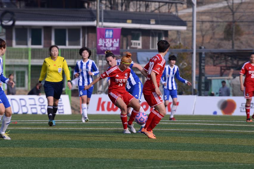 2014 WK-League 의 사진