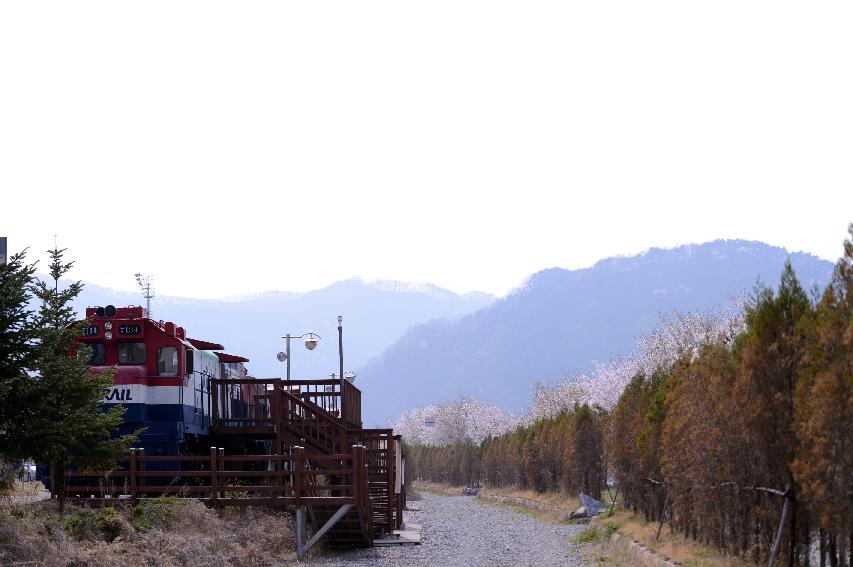 2014 하남면 위라리 벗꽃 열차팬션 풍경  의 사진
