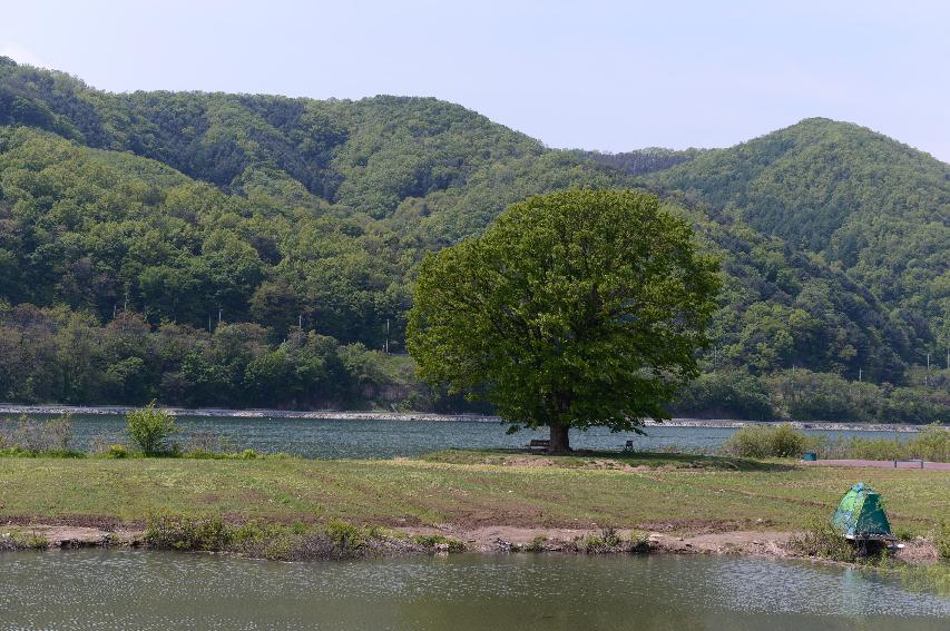 2014 거례리 수변공원 전경 사진