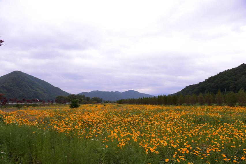 2014 북한강 풍경 의 사진