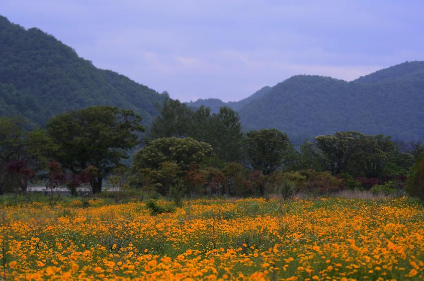 2014 북한강 풍경 의 사진