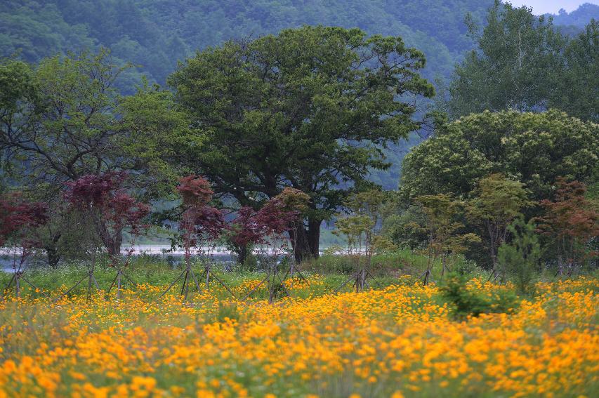 2014 북한강 풍경 의 사진