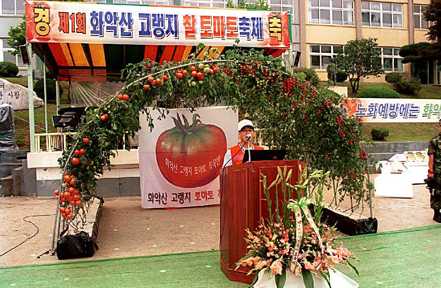 토마토축제 의 사진