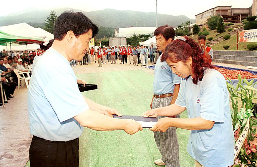 토마토축제 의 사진