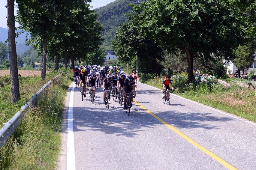 2014 제7회 화천DMZ 평화자전거 대회 의 사진