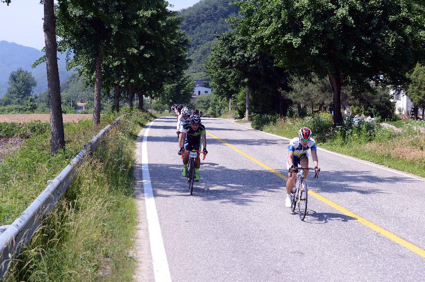 2014 제7회 화천DMZ 평화자전거 대회 의 사진