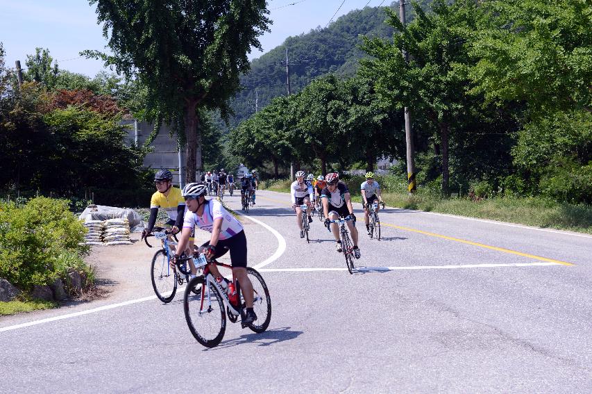 2014 제7회 화천DMZ 평화자전거 대회 의 사진