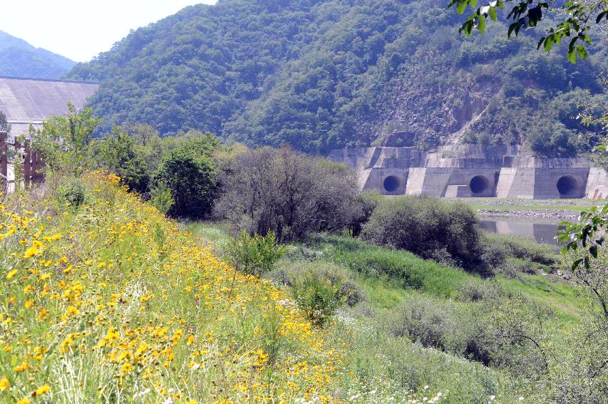 2014 제7회 화천DMZ 평화자전거 대회 의 사진