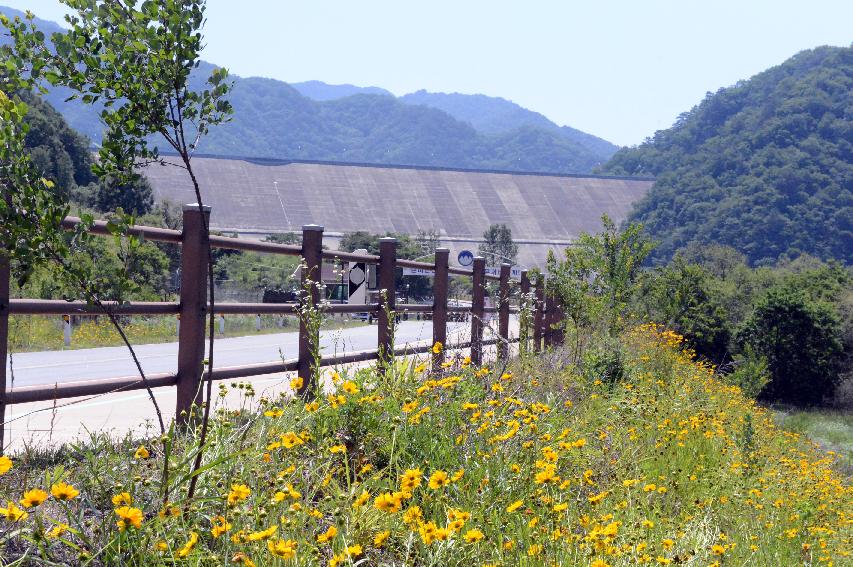 2014 제7회 화천DMZ 평화자전거 대회 의 사진