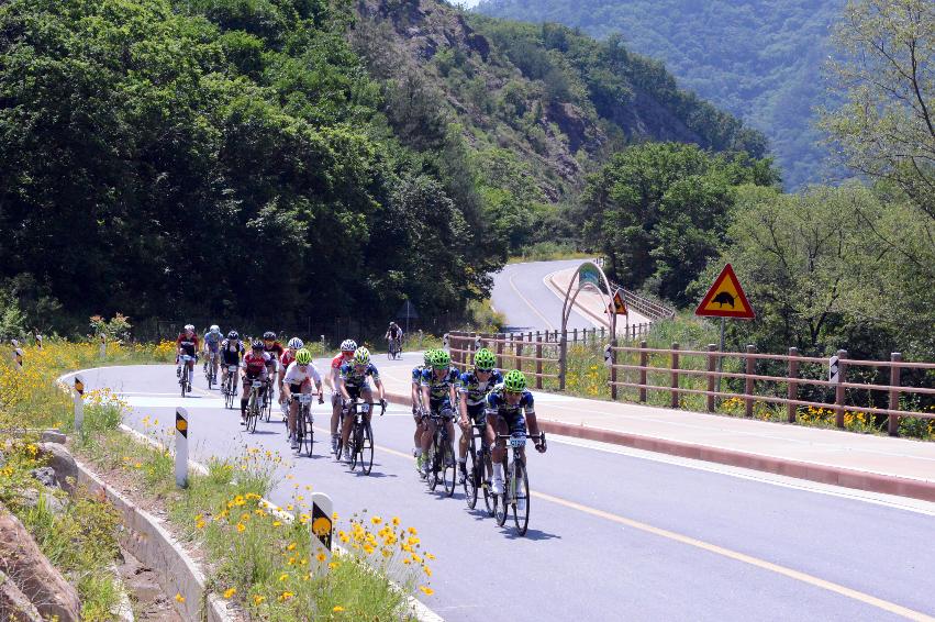 2014 제7회 화천DMZ 평화자전거 대회 의 사진