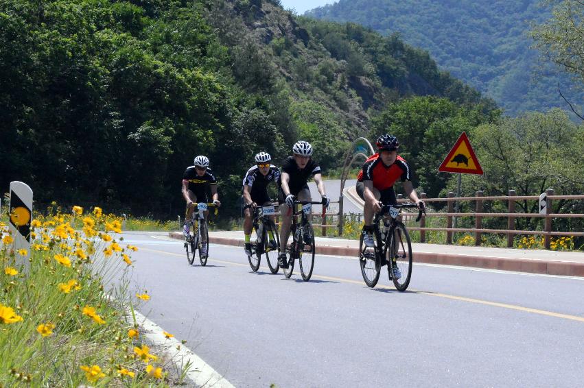 2014 제7회 화천DMZ 평화자전거 대회 의 사진