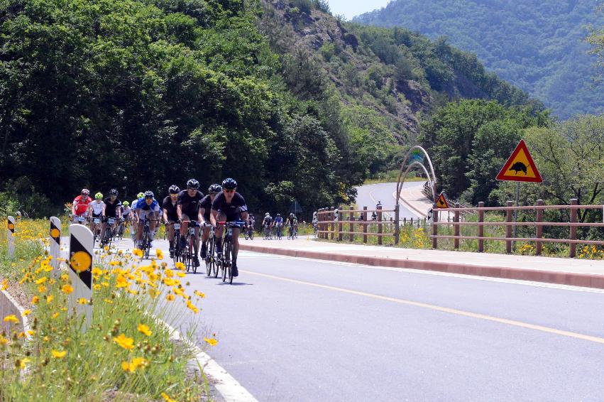 2014 제7회 화천DMZ 평화자전거 대회 의 사진