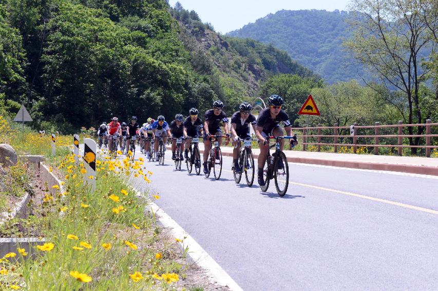 2014 제7회 화천DMZ 평화자전거 대회 의 사진