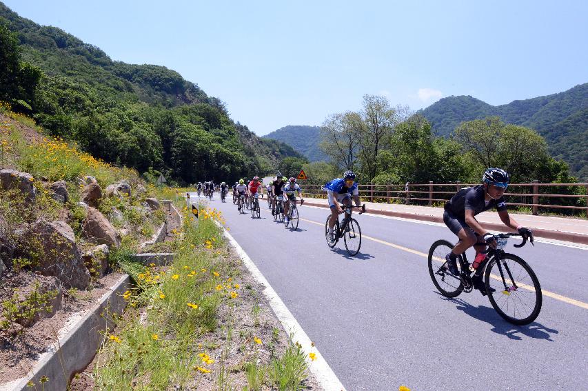 2014 제7회 화천DMZ 평화자전거 대회 의 사진