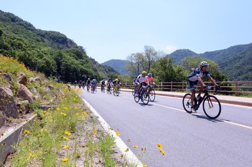 2014 제7회 화천DMZ 평화자전거 대회 의 사진