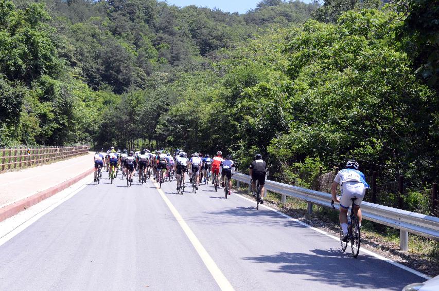 2014 제7회 화천DMZ 평화자전거 대회 의 사진