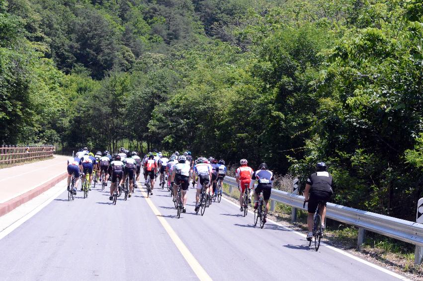 2014 제7회 화천DMZ 평화자전거 대회 의 사진