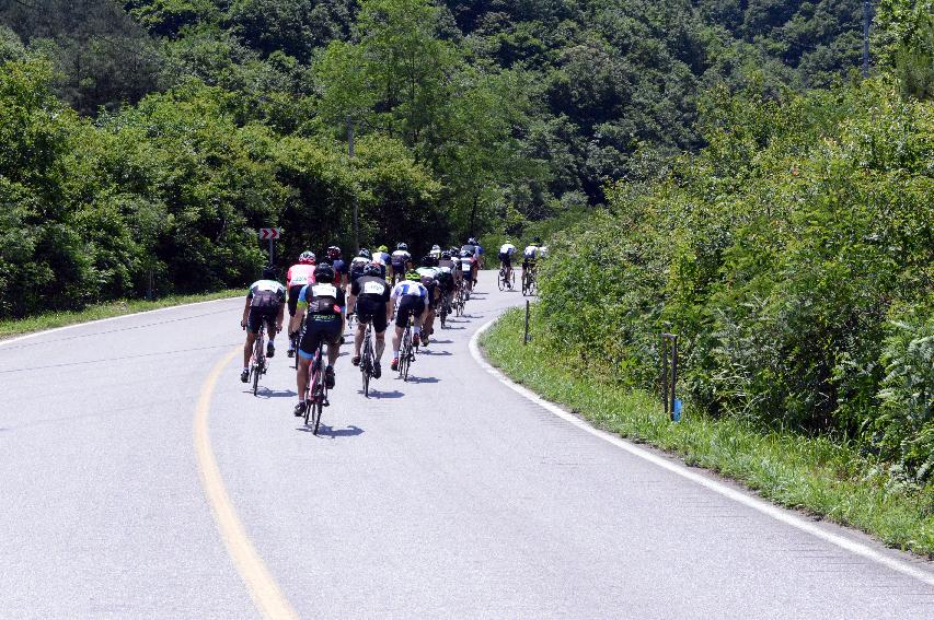 2014 제7회 화천DMZ 평화자전거 대회 의 사진