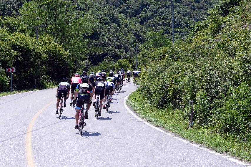 2014 제7회 화천DMZ 평화자전거 대회 의 사진