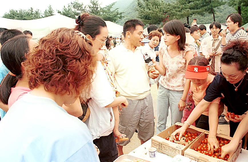 토마토시식회 의 사진