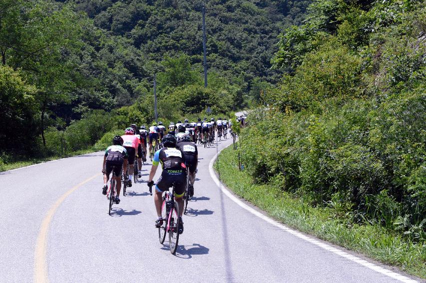 2014 제7회 화천DMZ 평화자전거 대회 의 사진