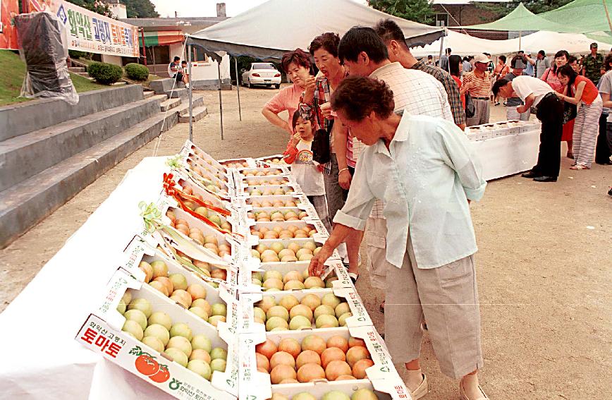 토마토시식회 의 사진