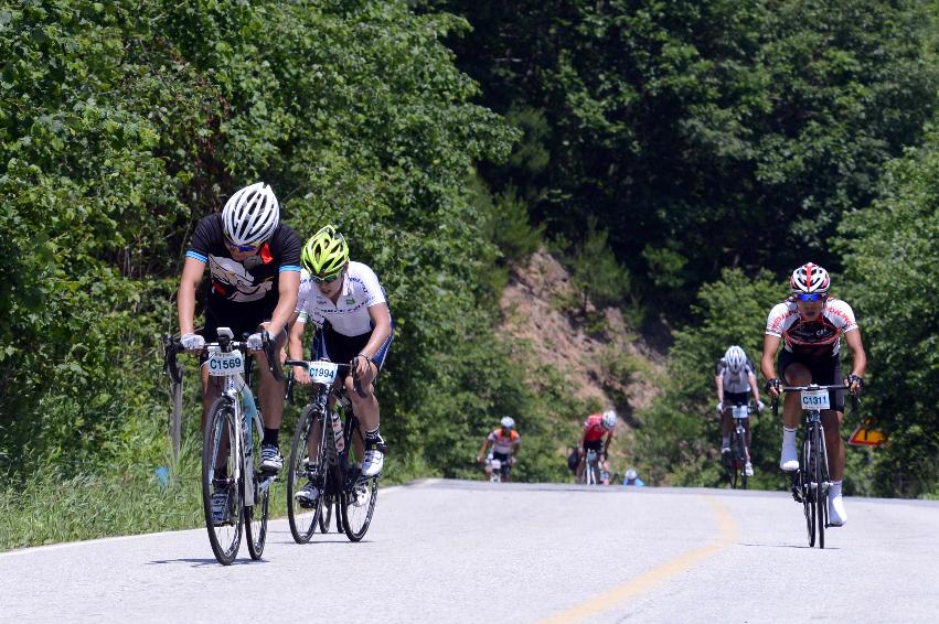 2014 제7회 화천DMZ 평화자전거 대회 의 사진