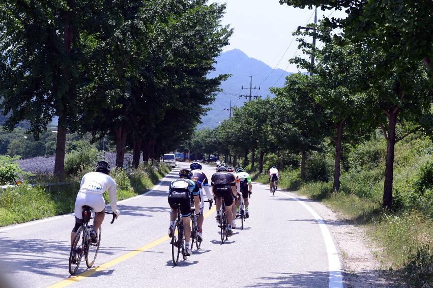 2014 제7회 화천DMZ 평화자전거 대회 의 사진