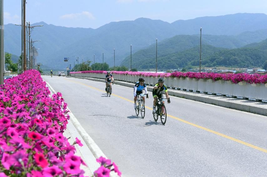 2014 제7회 화천DMZ 평화자전거 대회 의 사진