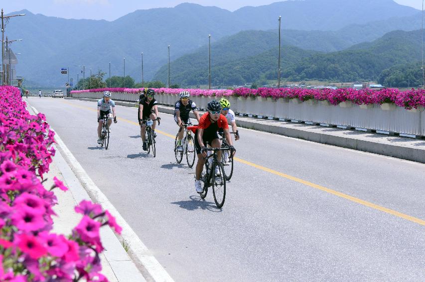 2014 제7회 화천DMZ 평화자전거 대회 의 사진