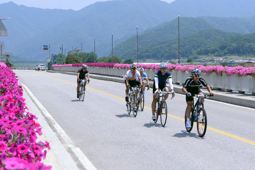 2014 제7회 화천DMZ 평화자전거 대회 의 사진