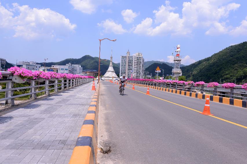 2014 제7회 화천DMZ 평화자전거 대회 의 사진