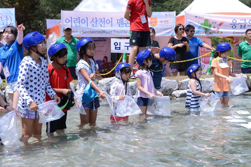 2014 쪽배축제장 전경 의 사진