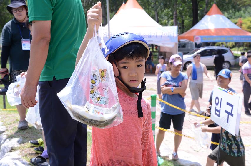 2014 쪽배축제장 전경 의 사진