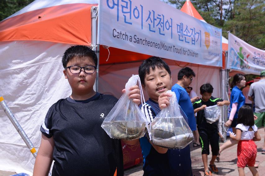 2014 쪽배축제장 전경 의 사진