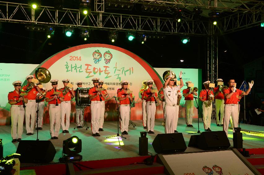 2014 토마토축제 전야제 의 사진