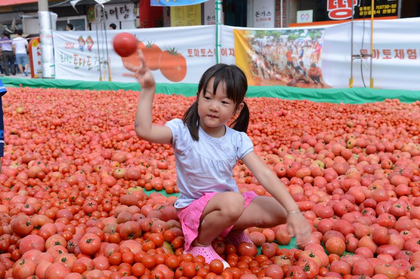 2014 황금반지를 찾아라 의 사진