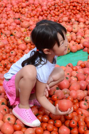 2014 황금반지를 찾아라 의 사진