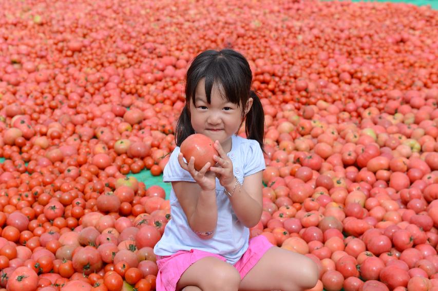 2014 황금반지를 찾아라 의 사진