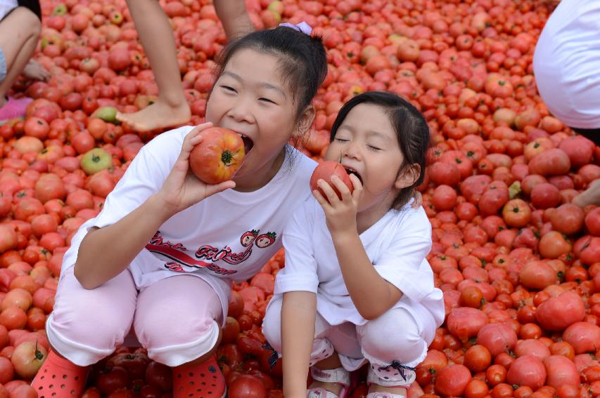 2014 황금반지를 찾아라 의 사진