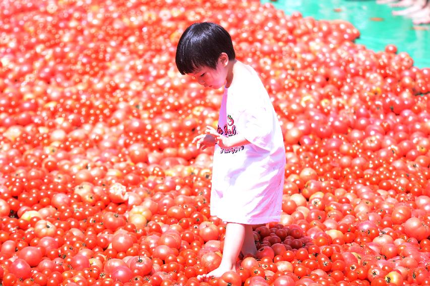 2014 황금반지를 찾아라 의 사진