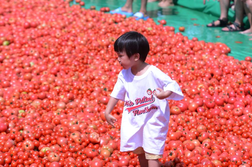 2014 황금반지를 찾아라 의 사진