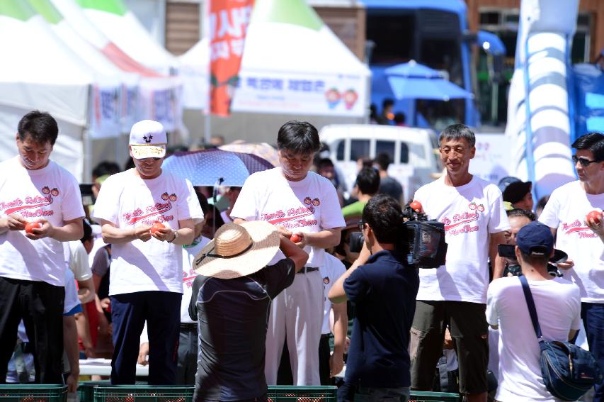 2014 황금반지를 찾아라 의 사진