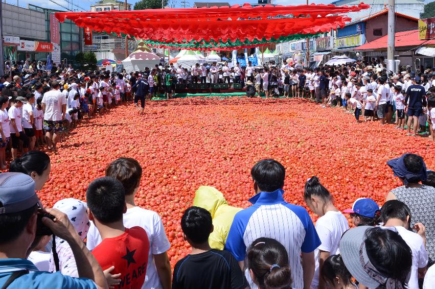 2014 황금반지를 찾아라 의 사진