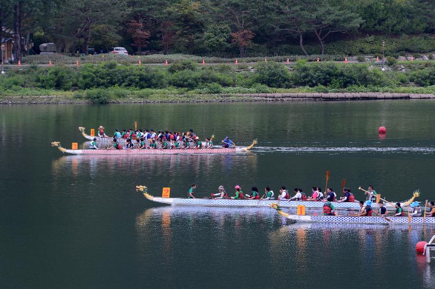 2014 화천군 공무원 산천호 경주대회 의 사진