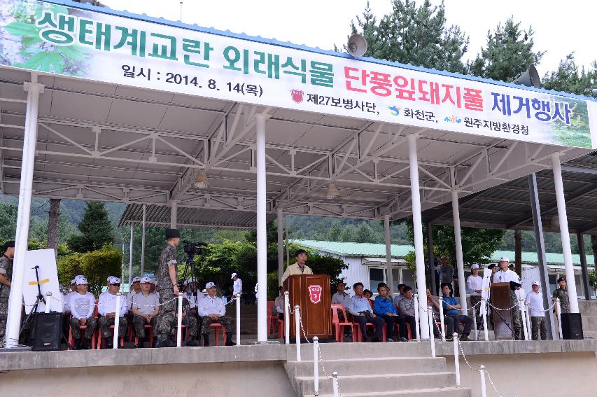 2014 민관군 합동 군부대일원 단풍잎돼지풀 제거행사 사진