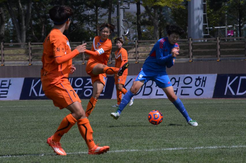 2014 추계한국여자축구연맹전 사진